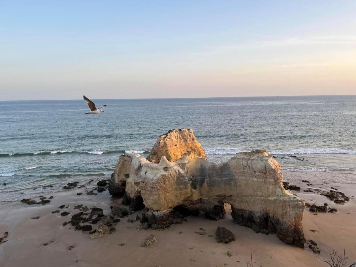 Gm Premium Portimao Apartman Kültér fotó